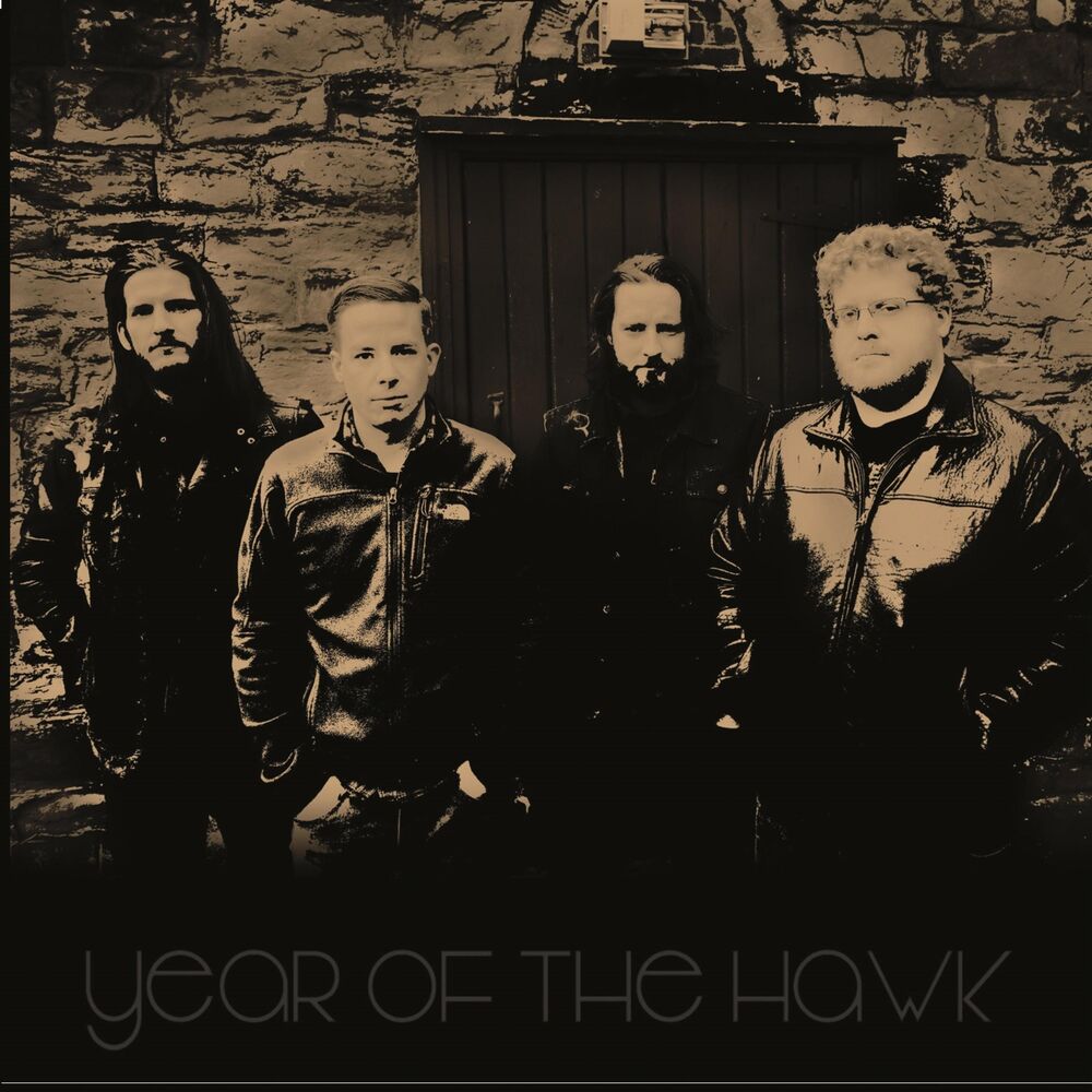 Picture of Year of the Hawk