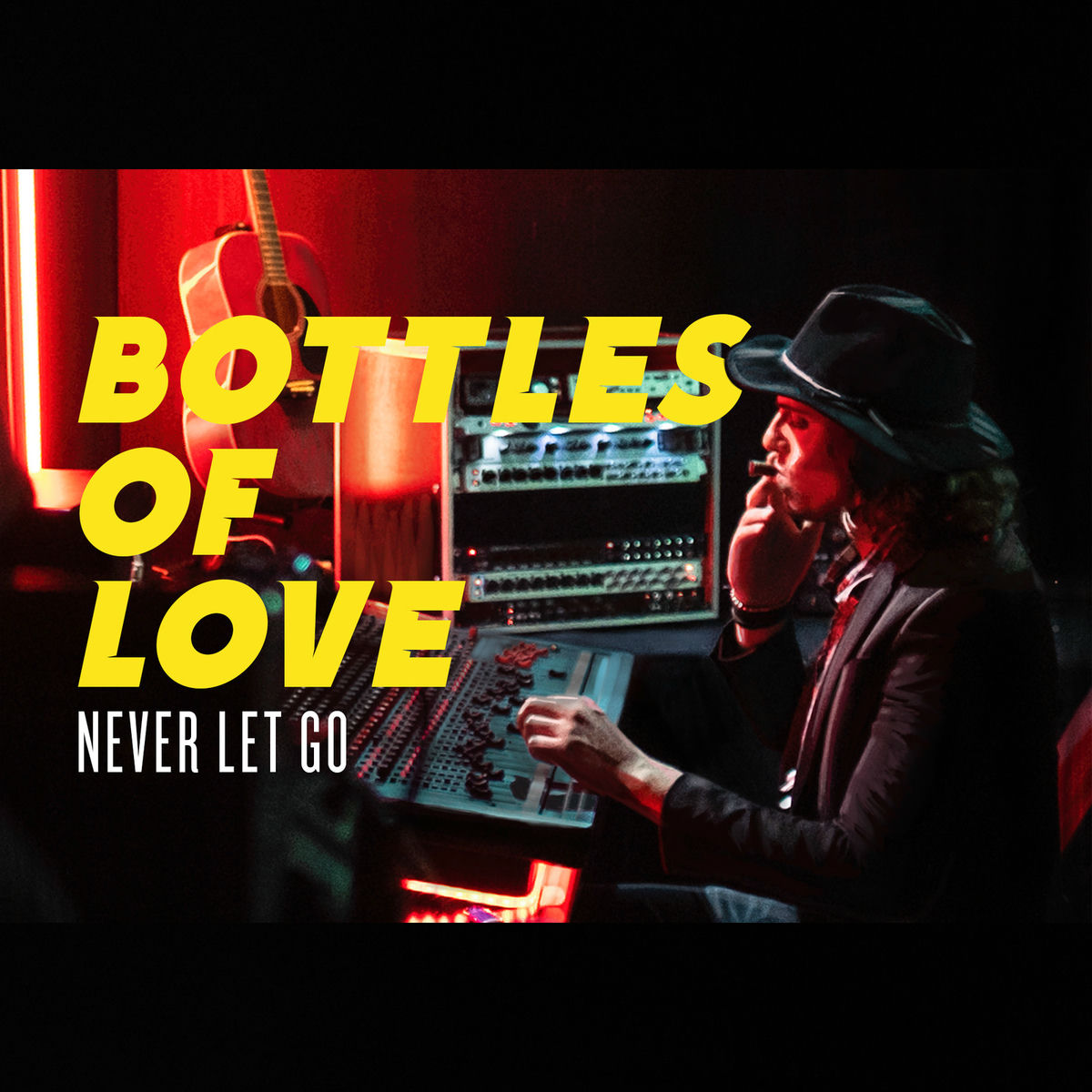 Album cover of Never Let Go