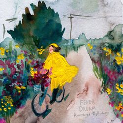 Cover of Fever Dream