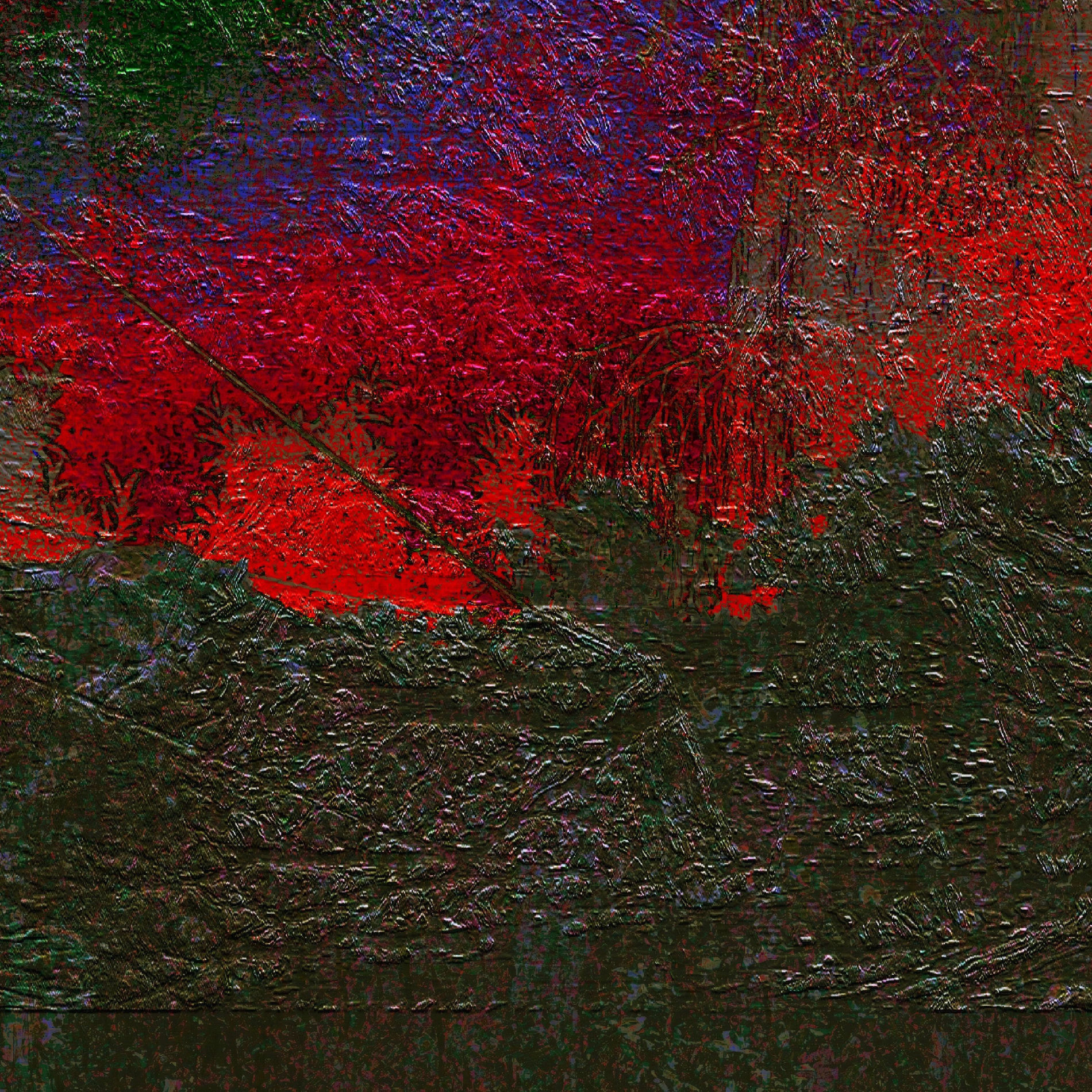 Album cover of RUGOSO