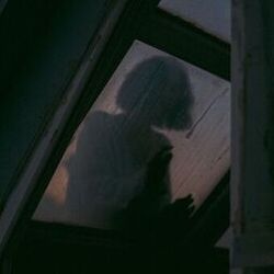 it’s always been you
