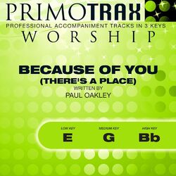 Cover of Because of You - There's a Place (Worship Primotrax) [Performance Tracks] - EP