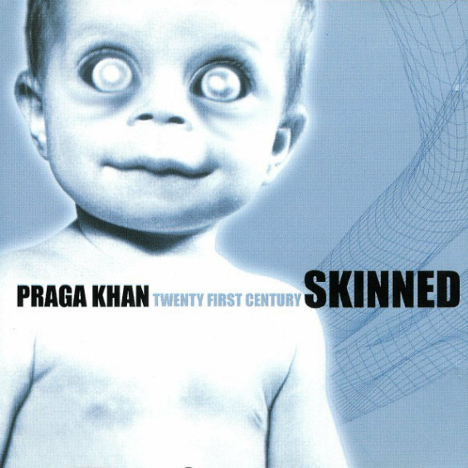 Album cover of Twenty First Century Skinned