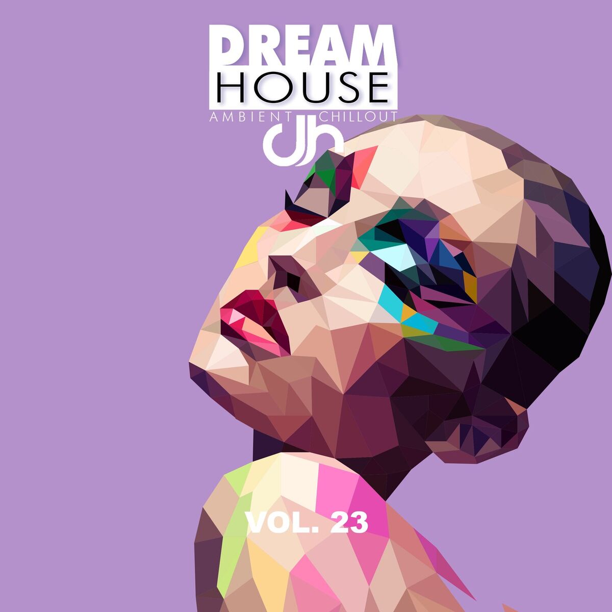 Album cover of Dream House, Vol. 23