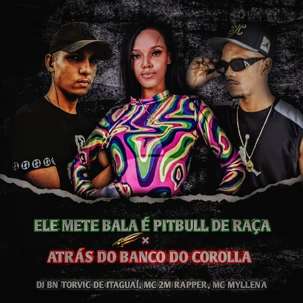 Picture of ELE METE BALA É PITBULL DE RAÇA × ATRÁS DO BANCO DO COROLLA