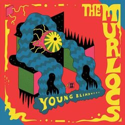 Cover of Young Blindness