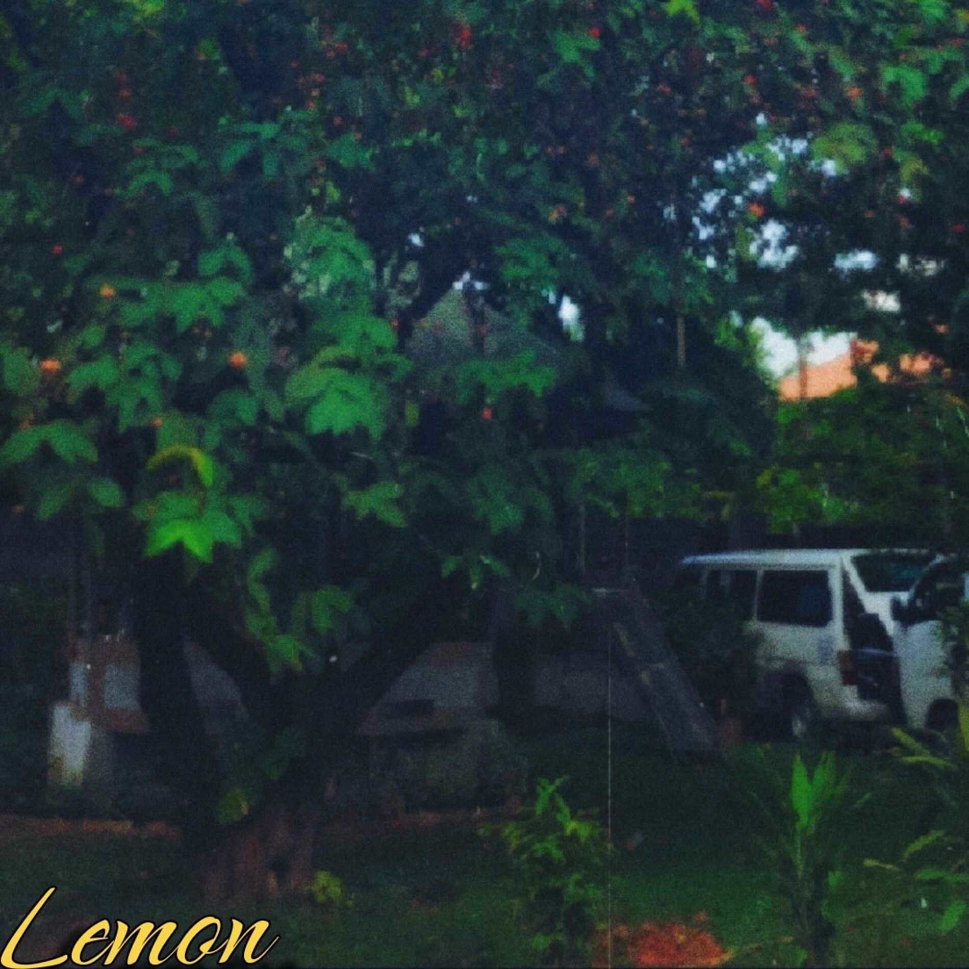 Album cover of 17