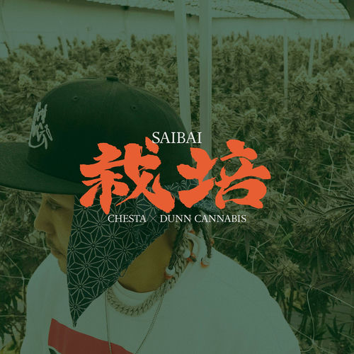 Saibai -栽培-