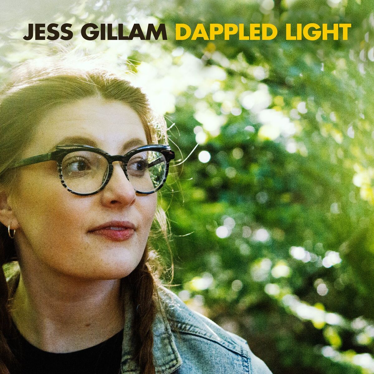 Album cover of Howard: Dappled Light