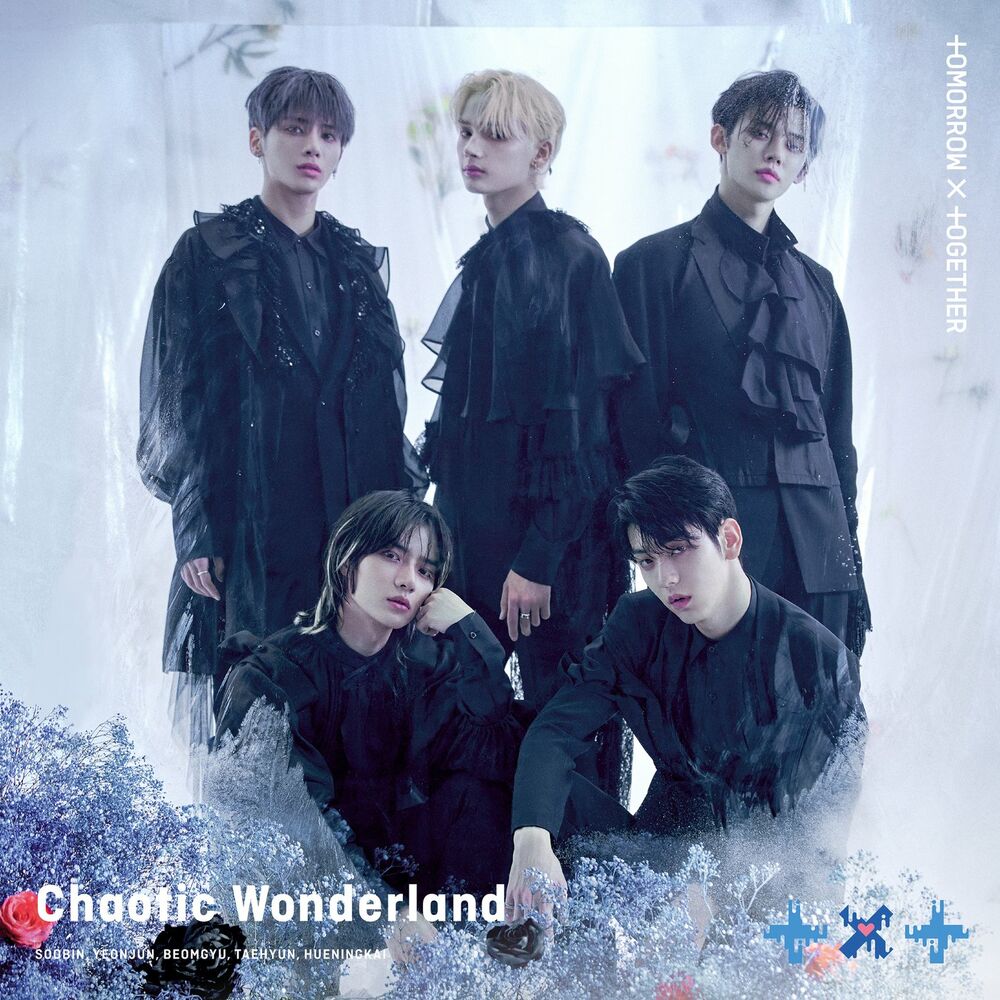 Picture of Chaotic Wonderland