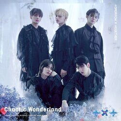 Cover of Chaotic Wonderland