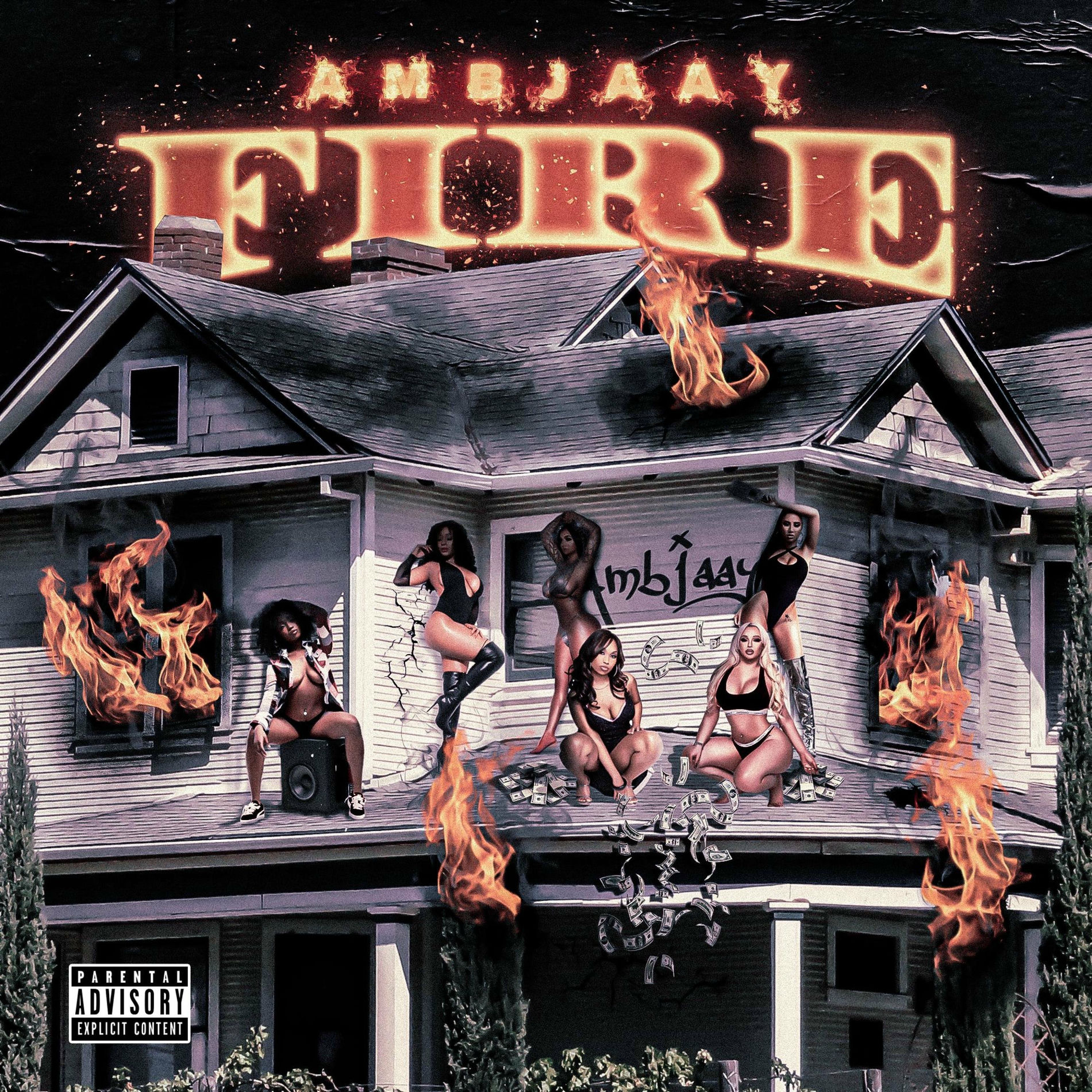 Album cover of Fire