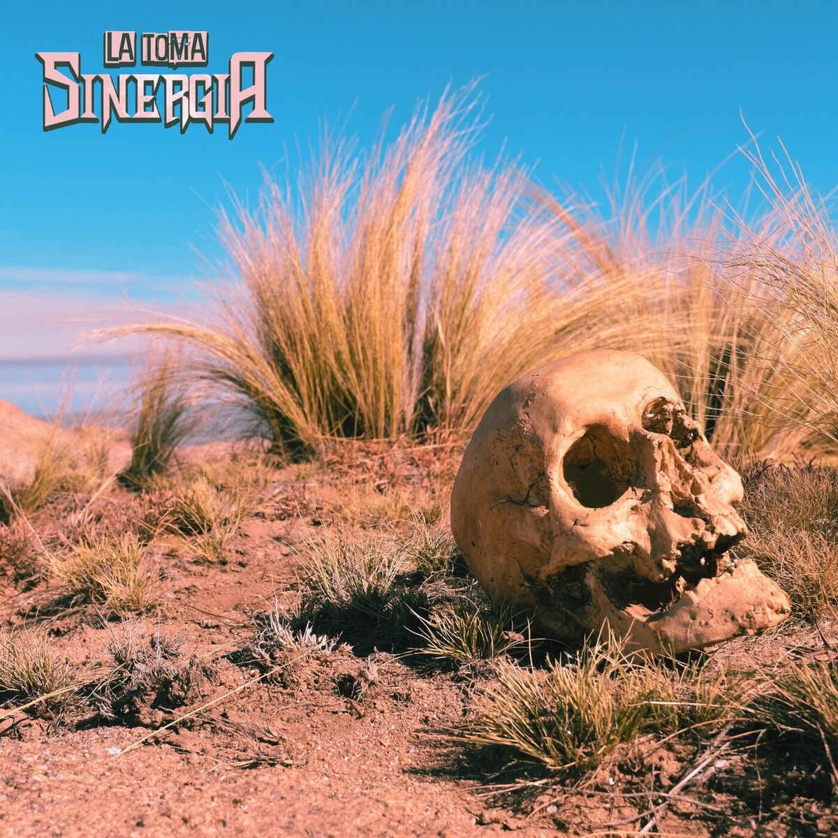 Album cover of La Toma