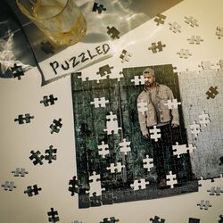 Cover of PUZZLED