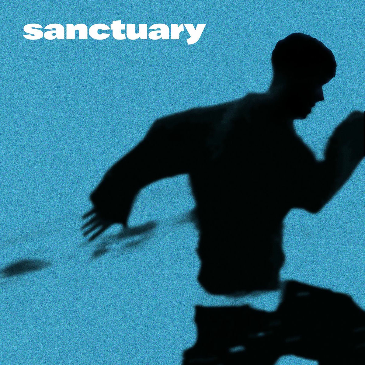 Album cover of Sanctuary
