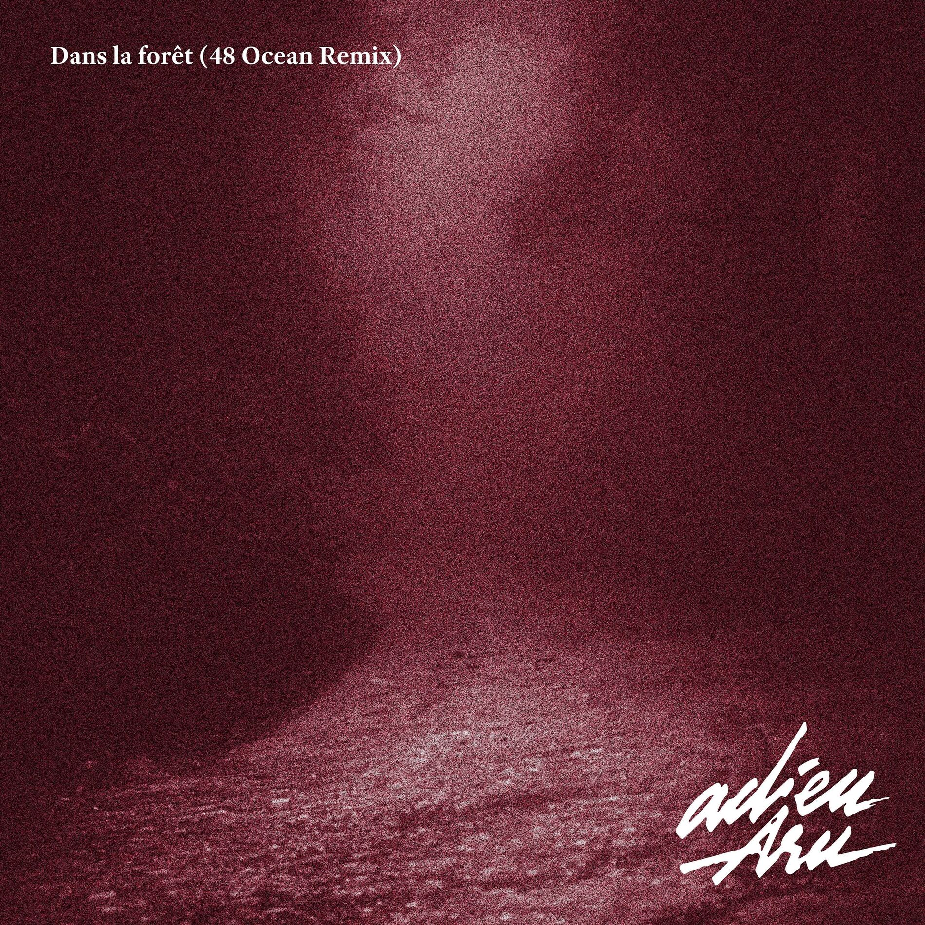 Album cover of Dans la forêt (48 Ocean Remix)