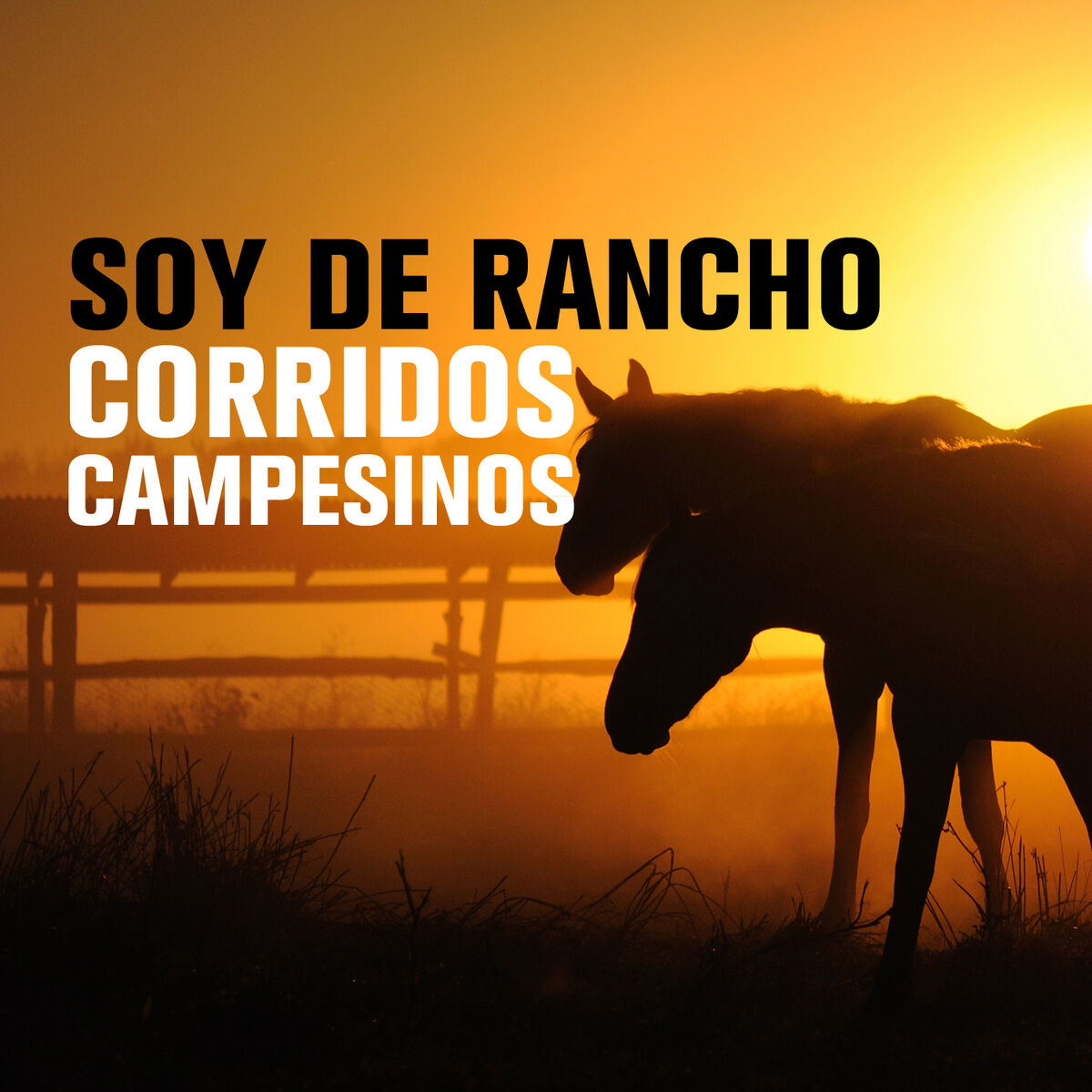 Album cover of Soy de Rancho: Corridos Campesinos