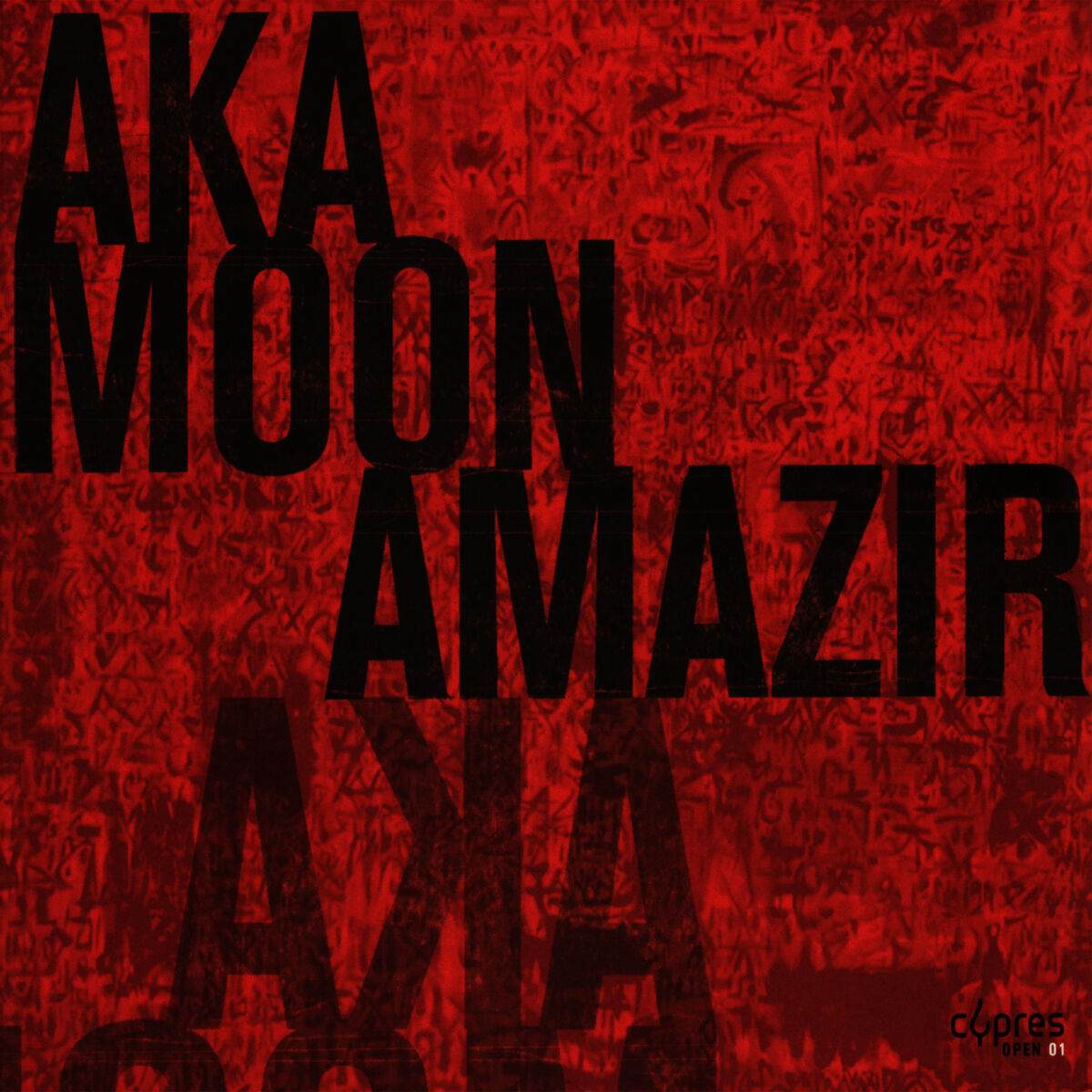 Album cover of Vasco