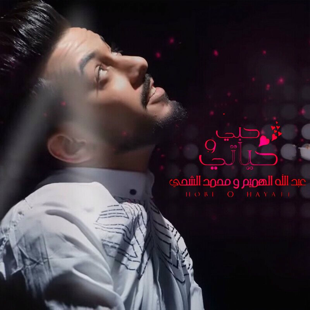Album cover of Hobi O Hayati