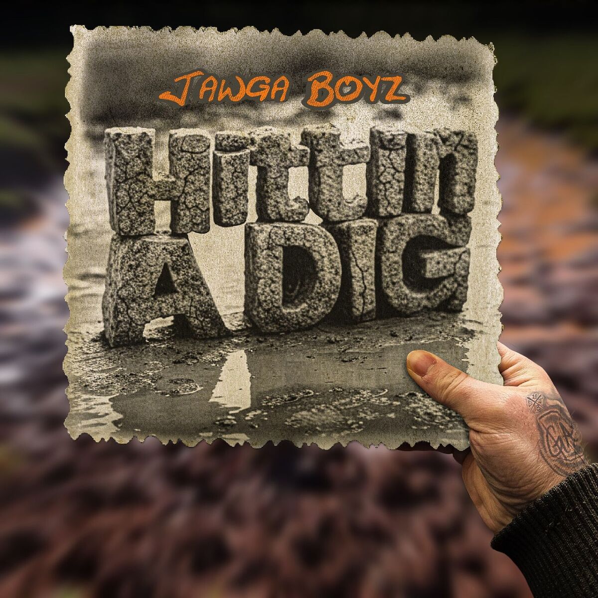 Album cover of Hittin a Dig