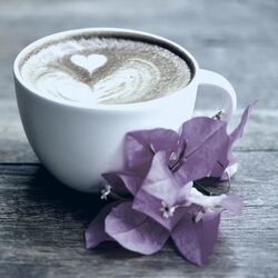 Cover of Feelings for Afternoon Lattes