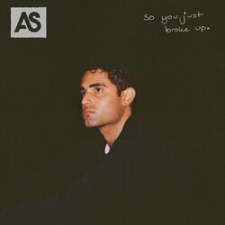 Cover of so you just broke up.