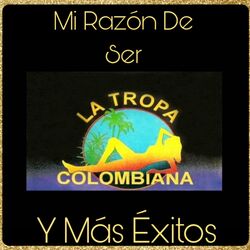 Cover of Mi Razón de Ser y Más Éxitos