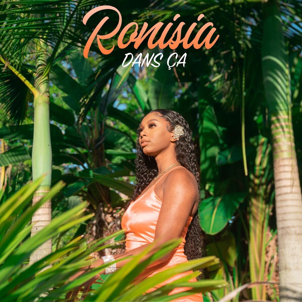 Album cover of Dans ça