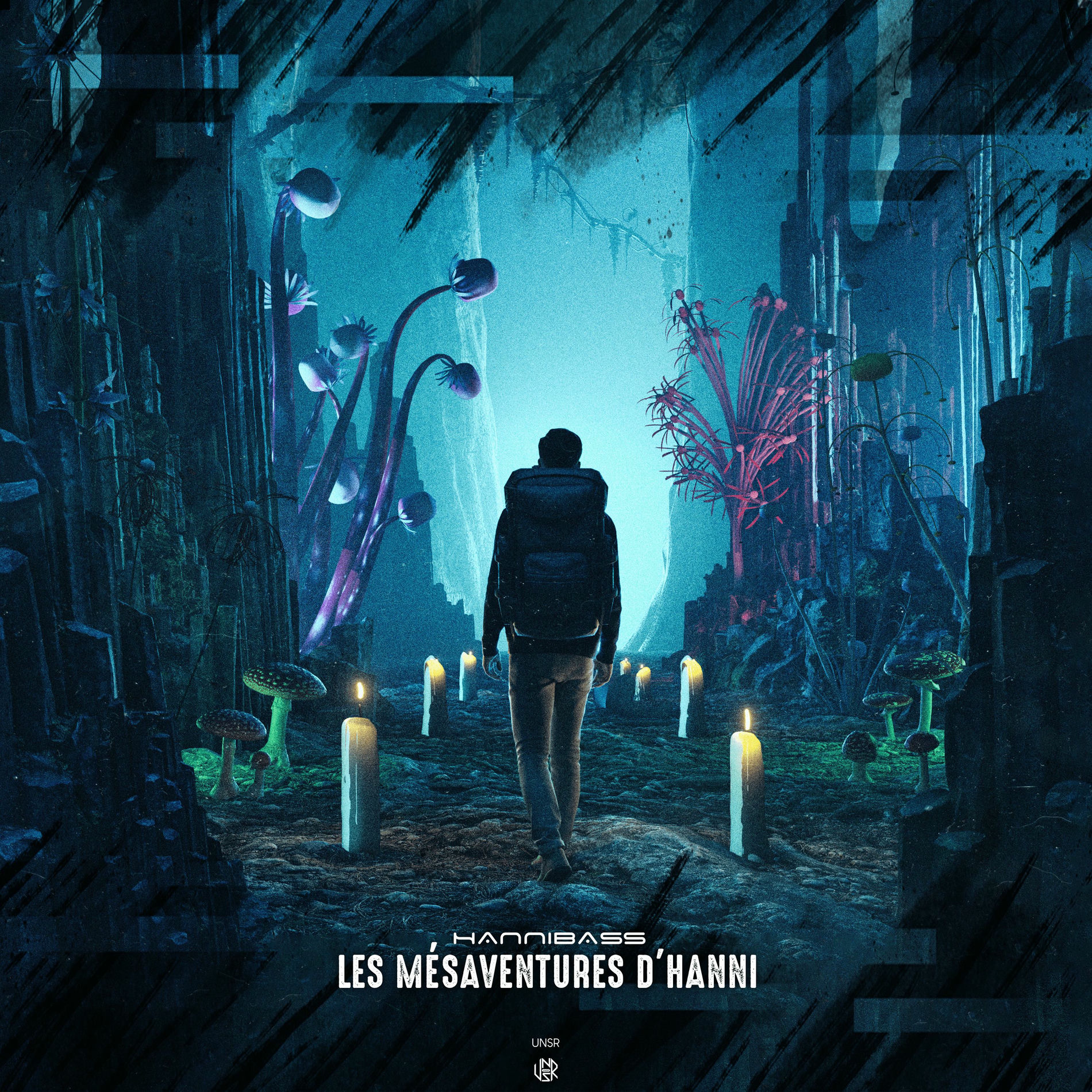 Album cover of Les mésaventures d'Hanni
