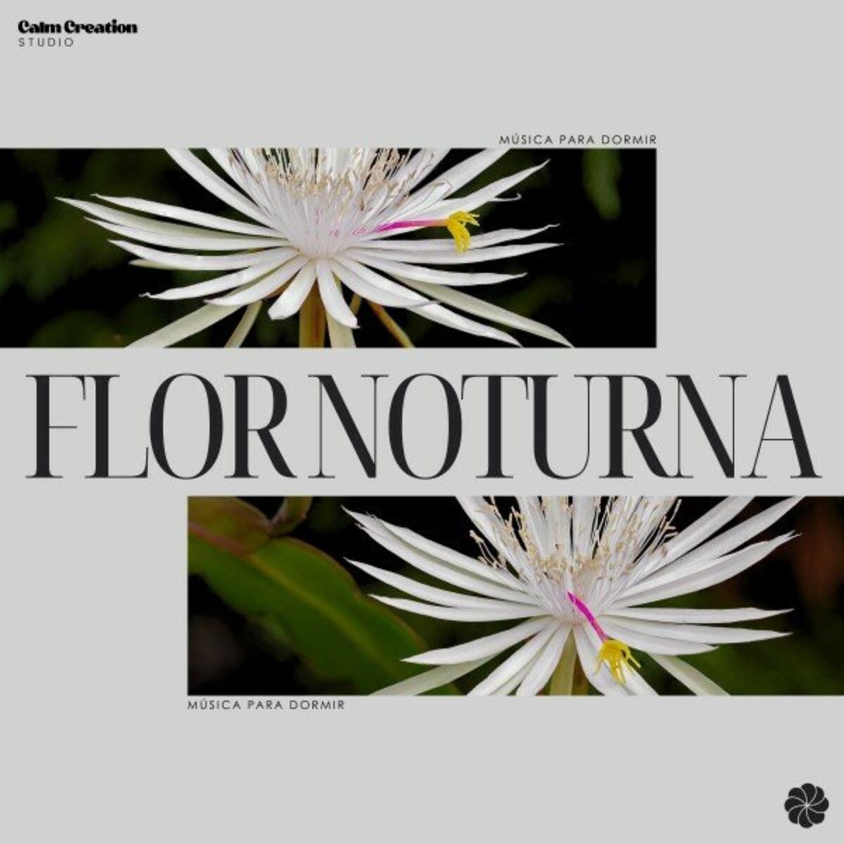 Album cover of Flor Noturna