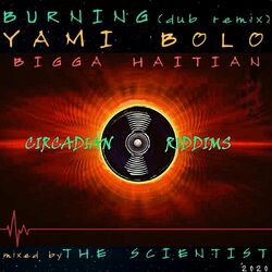 Cover of Burning (Dub Remix)