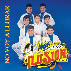 Cover of No Voy A Llorar