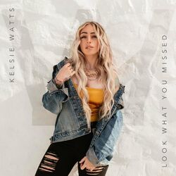 Cover of Look What You Missed