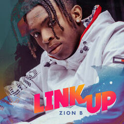 Cover of Link Up