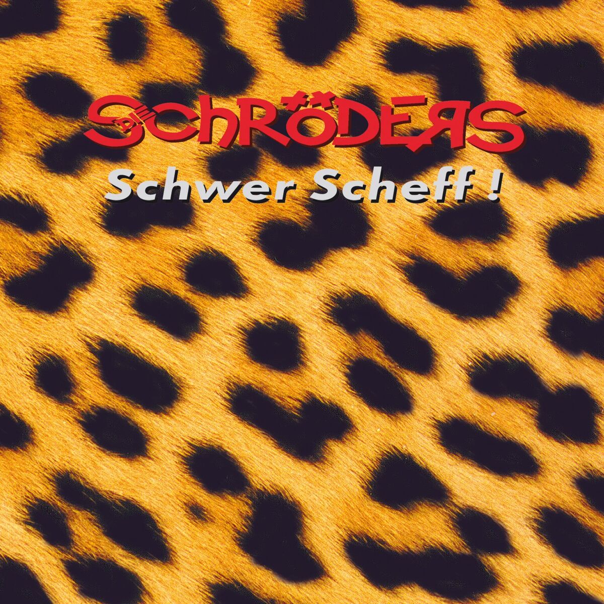 Album cover of Liebeslied