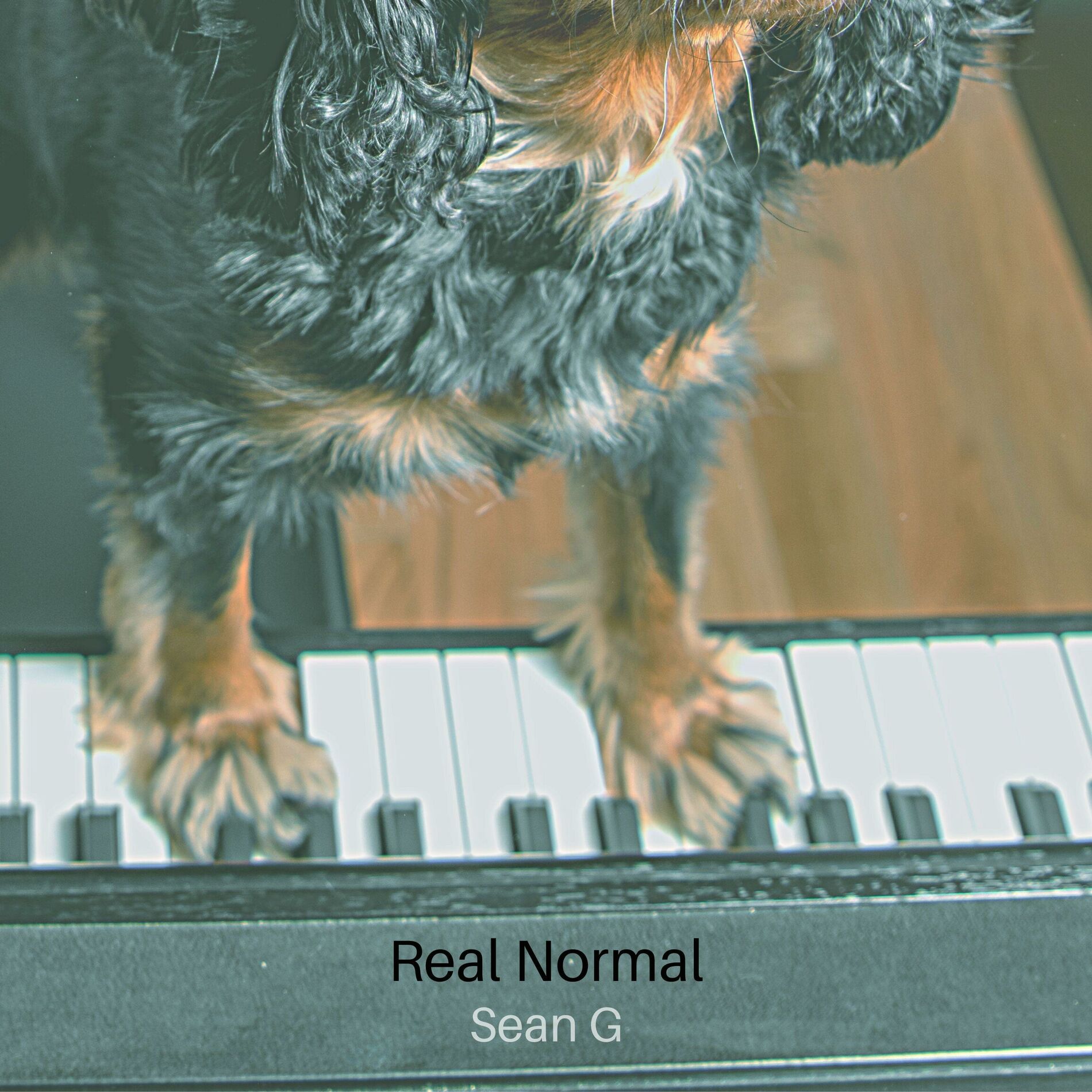 Album cover of Real Normal