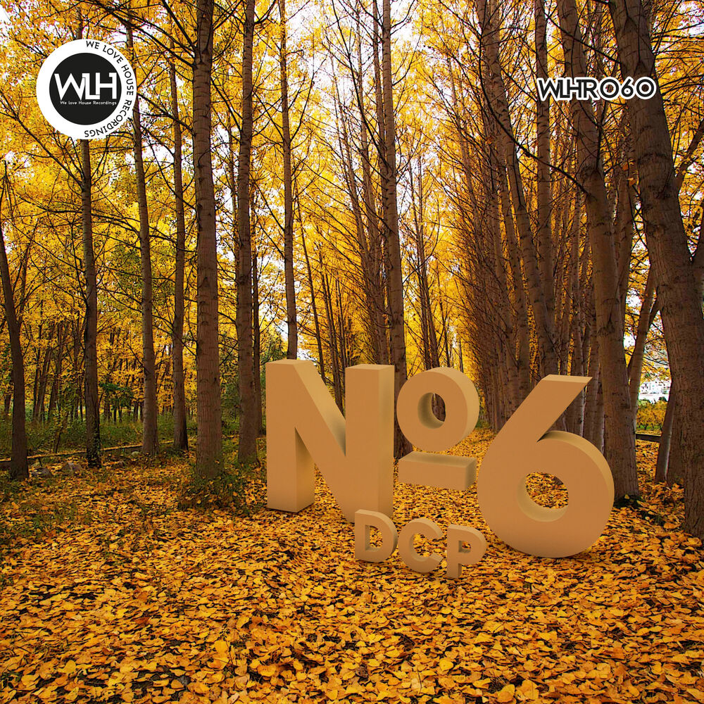 Picture of Nº6