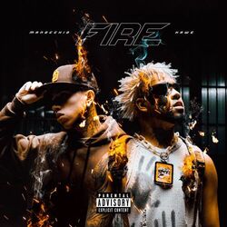 Cover of FIRE
