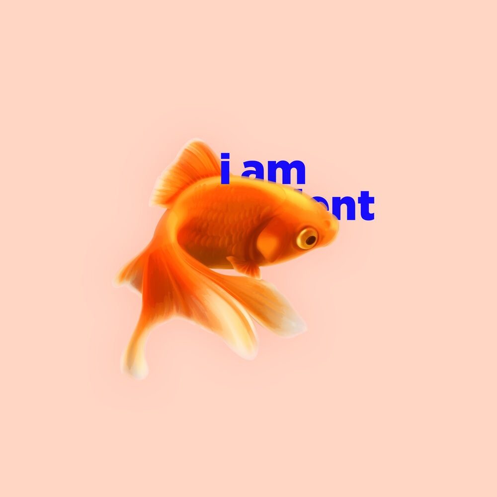 Picture of I Am Patient