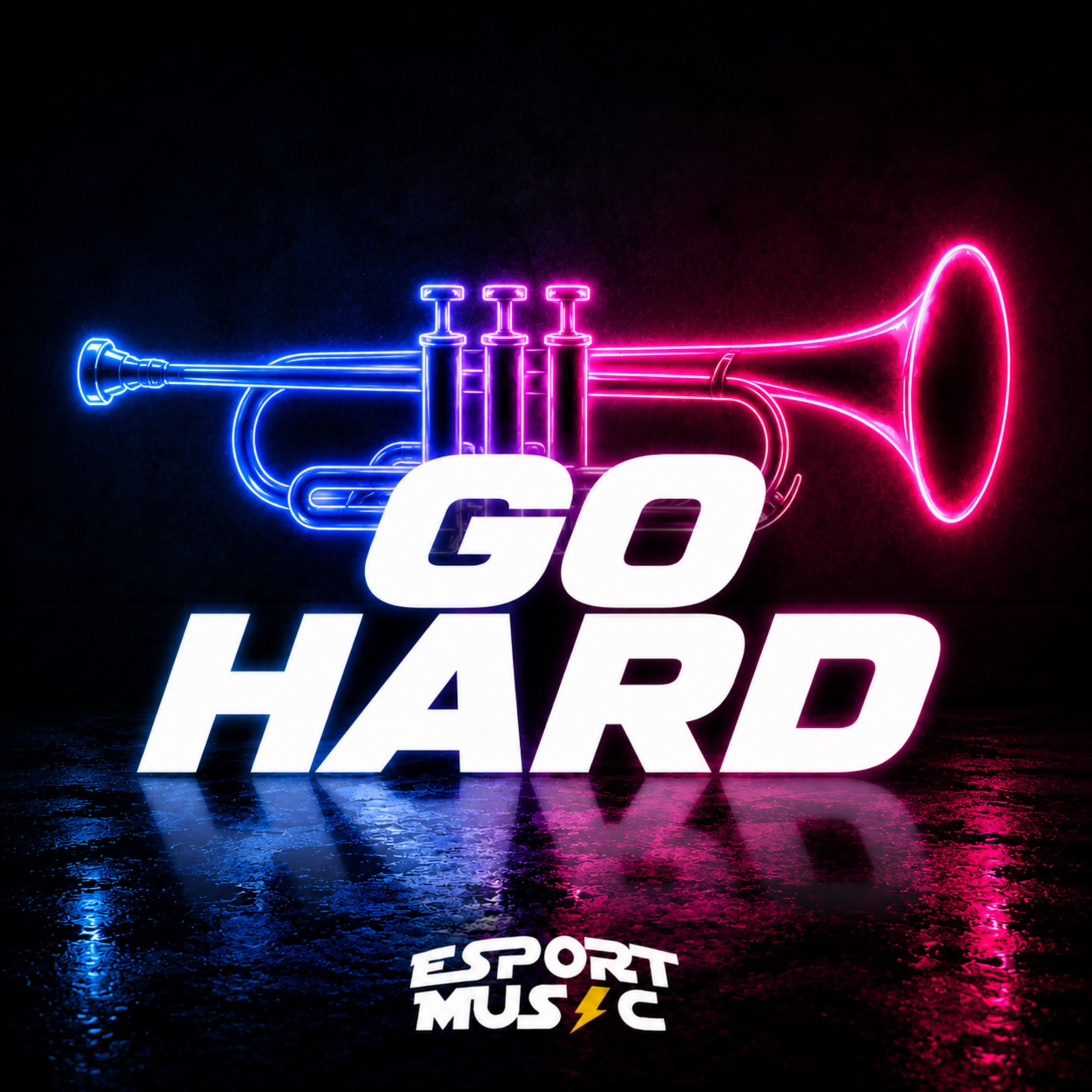 Album cover of Go Hard