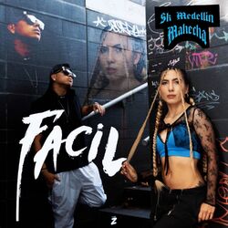 Cover of Facil