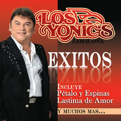 Cover of Exitos