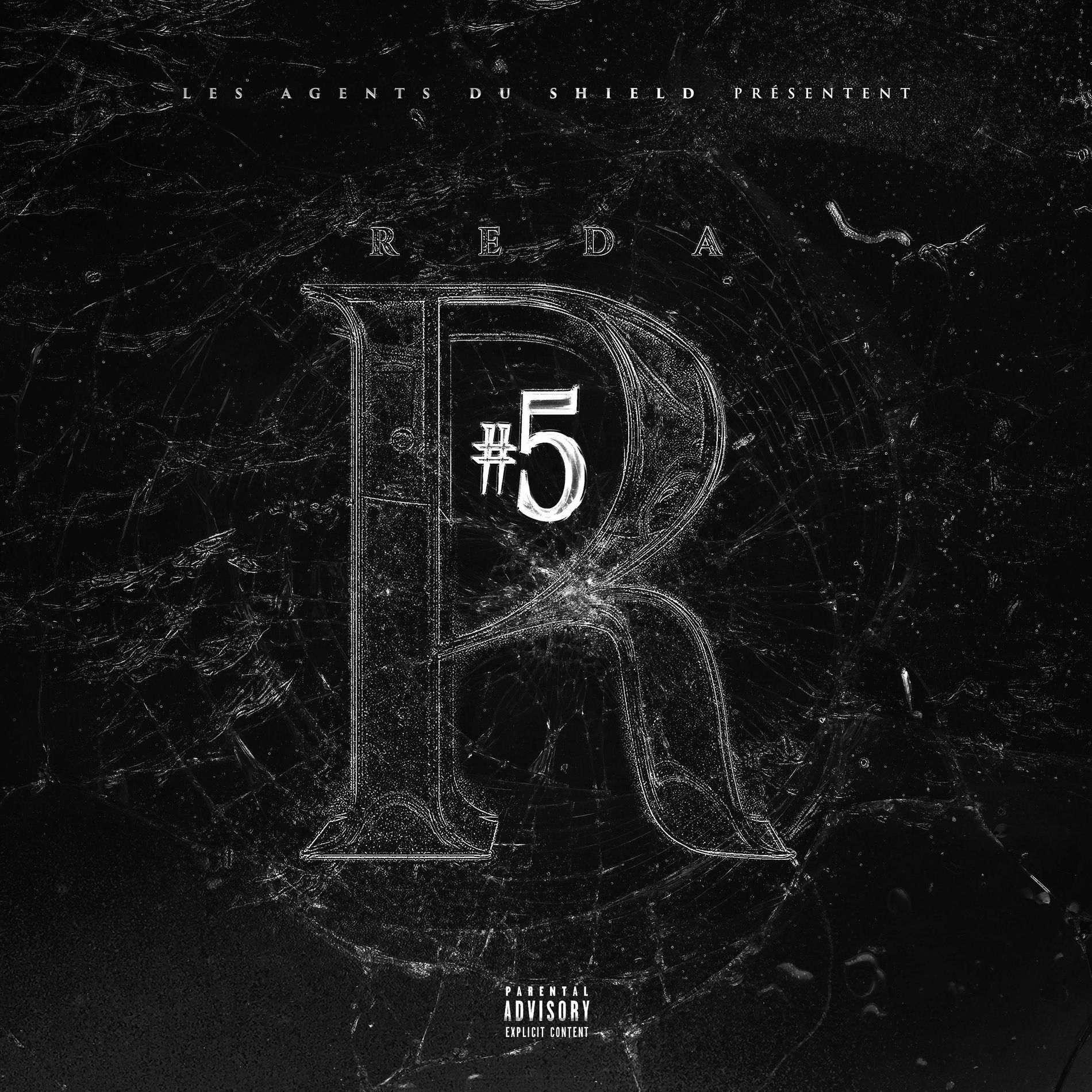 Album cover of Le R #5