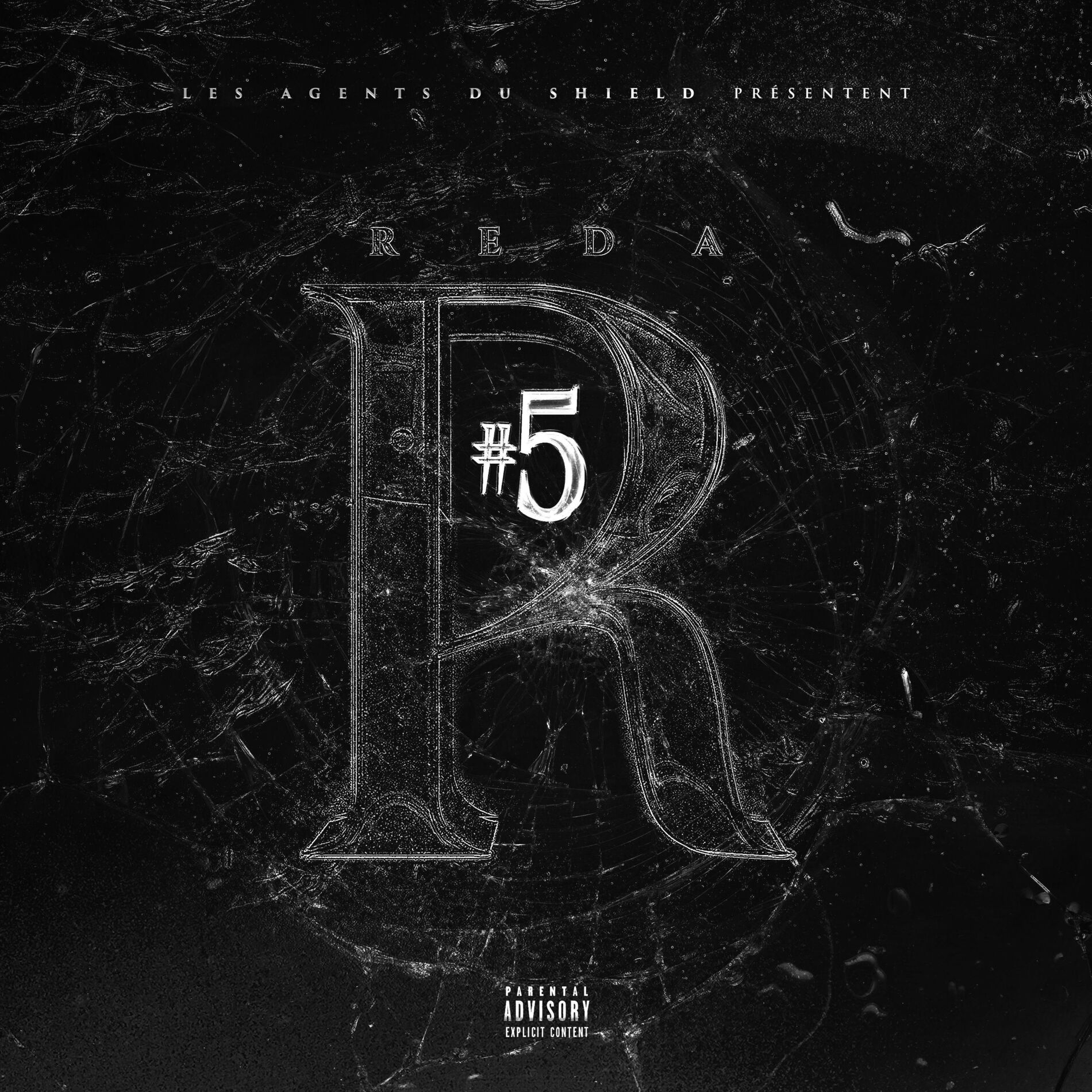 Album cover of Le R #5