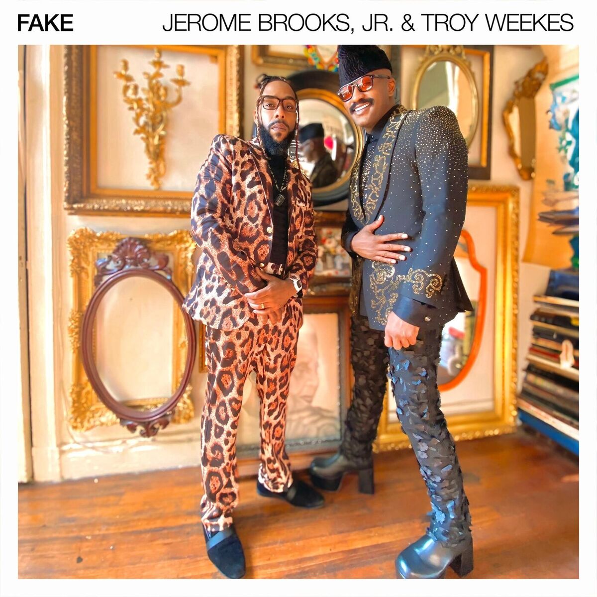 Album cover of Fake