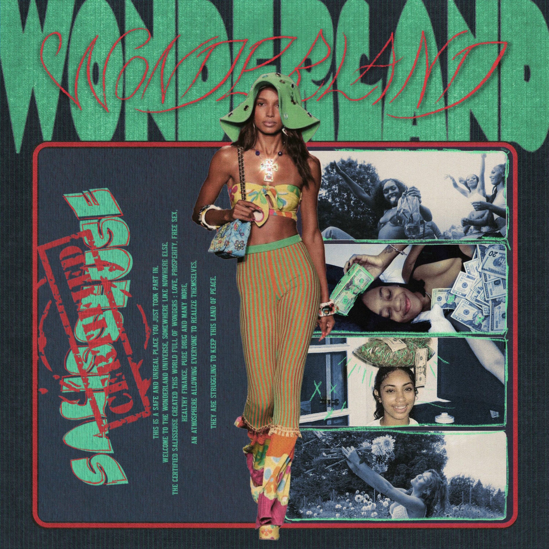 Album cover of Certified Salisseuse : Wonderland