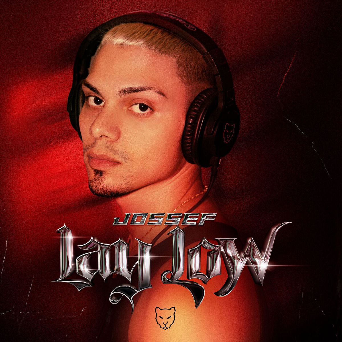 Album cover of LAY LOW