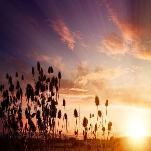 meditation music that makes you feel warm (river sound healing) sleeve