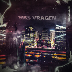 Cover of Niks Vragen