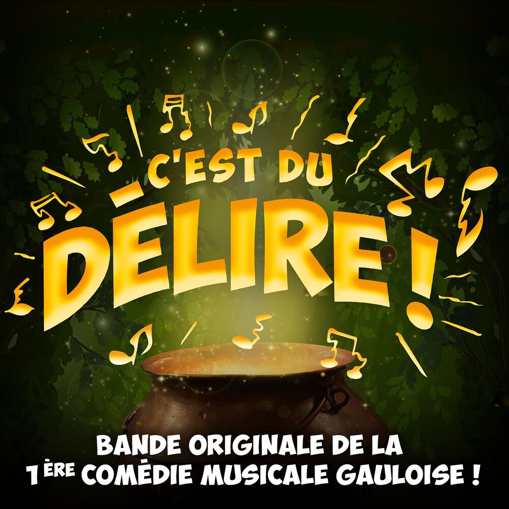 Picture of C'est Du Délire ! (Bande originale de la 1ère Comédie Musicale Gauloise !)